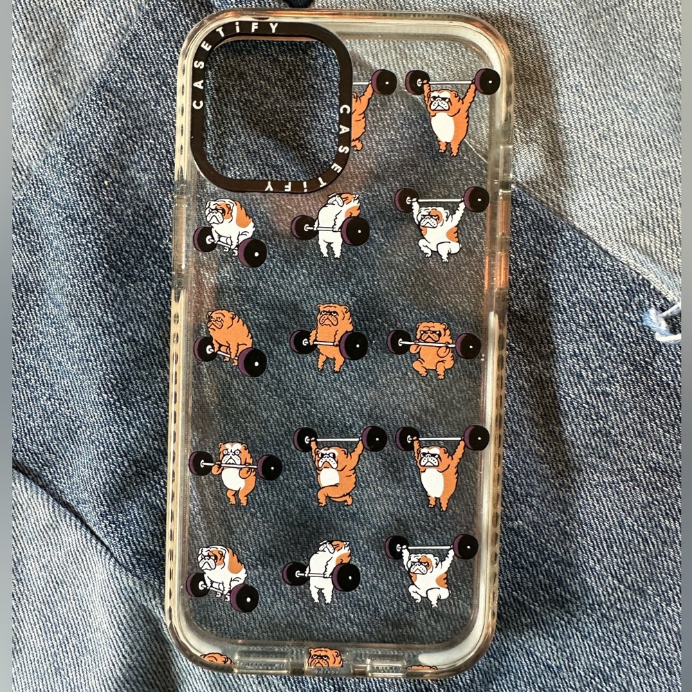 iPhone 12 Pro Max Case